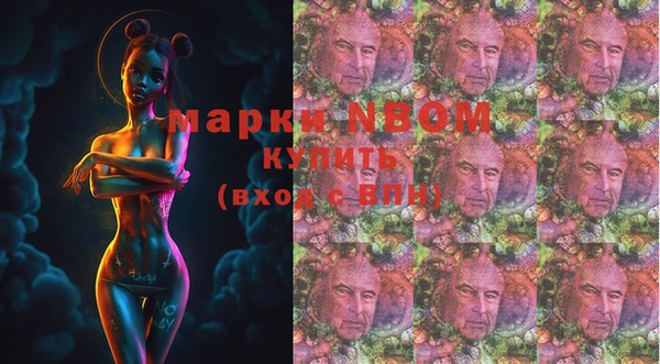 шишки Алексин