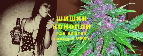 амф Алзамай