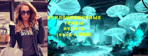 шишки Алексин